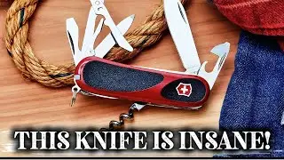 Wenger EvoGrip S557 Review – Best Everyday Swiss Army Knife in 2026?