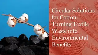 Circular Solutions for Cotton: Turning Textile Waste into Environmental Benefits