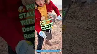 🤯 PULL CORN STALKS WITHOUT a Hoe? Does This Tool Really Work? 😳🌽#tools #short