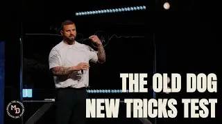 The 