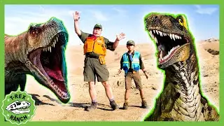 🎯 Dinosaur Desert SHOWDOWN 🎯 | 🦖🦕 T-Rex Ranch Dinosaur Videos