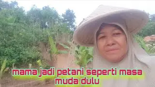 Keinginan mama tercapai berkebun #egoadriano #partitv #dedymulyadi #sinauhurip #berkebun 