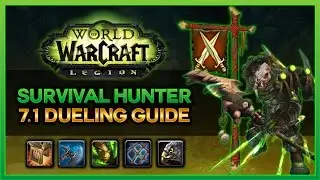 HOW TO DUEL AS A SURVIVAL HUNTER-  7.1 WOW LEGION PVP GUIDE