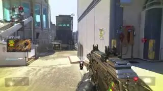 VETs cw mlg xpto!