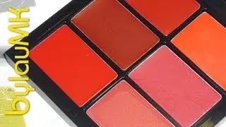 Review: MAC Pro Lip Palette (Reds & Pinks)