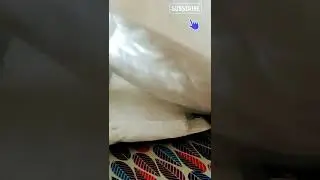 I bought Flipkart Smartbuy Microfiber Cushion Pillow. #unboxingvideo #Flipkart #pillow