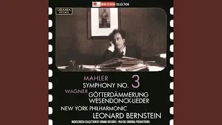 Symphony No. 3 in D Minor: I. Kraftig