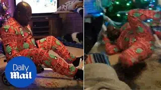Man takes his 'hoverboard go kart' for a ride and crashes into wall - Daily Mail