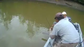 Alu&sup2; on topwater bye masta jebat.caster aman jaya anglers