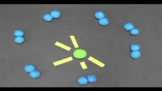 How Do Fireflies Glow?