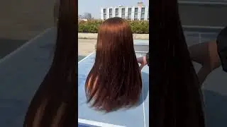 Brown color lace wig #lacewig #colorwig