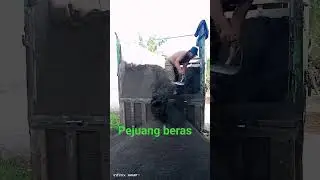 tenaga kuda#shortsvideo#