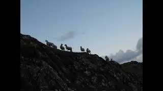 The Lord Is My Shepherd Psalm 23