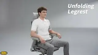 Raynor Office Chair Model  Pofit 2