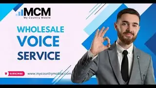 Wholesale Voice Services : Elevate Your Communication Game.