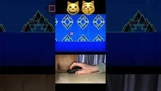 sCATman Jump Challenge! 😱