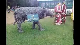 Ooty - Thoda Tribal Culture Reproduced in Flowers - Ooty Botanical Garden