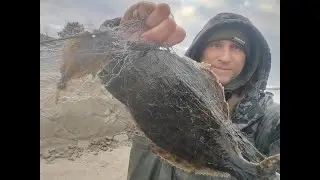 Идущий по Воде! Мне ваши Камыши не нужны! Я Черпаю с Канавы!