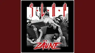 Z&auml;une