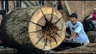 Behind the Scenes   Sawmill Techniques & Professional Skills