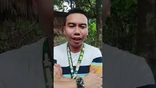 KAYA KAYA PUNUIN NG S3XBOMB GIRLS ANG PHILIPPINE ARENA SA PART 3 CONCERT NILA?