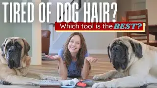 Which Pet Hair Remover Is the BEST? 7 Top Products Put To the TEST! [ULTIMATE BUYERS GUIDE]