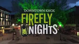 Firefly Nights