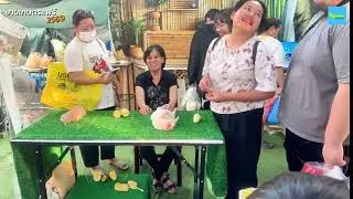&ldquo;Long Walk Vlog | เกษตรแฟร์ 2569 | เดินยาวไม่ตัด&rdquo;