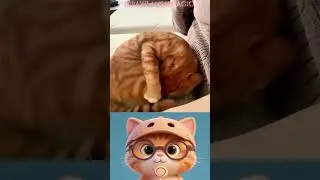 The true master of assassination. #cuteanimals #funnypets #funny #cat #pets