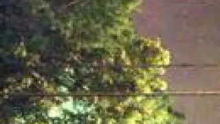 Montauk Monster Caught Alive with a video Camera Breaking Big Branches in a tree ?