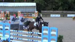 Casallo Anglestone 8 '13 7yos