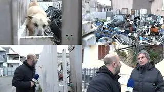Due cani nella casa discarica, la Asl: 