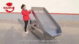 Peanutroasting&seasoningproductionline#nutroastingmachine#nutseasoningmachine#nutfillingmachine#
