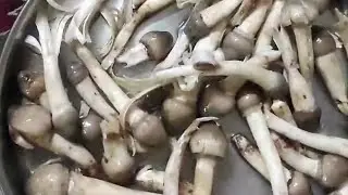 aarim nu saak