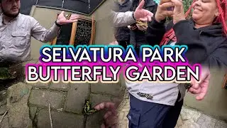 We toured Selvatura Adventure Park's Butterfly Garden