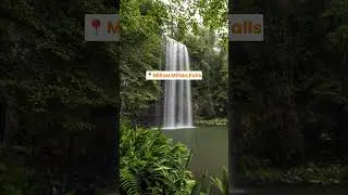 Cairns 10 Day Road Trip Itinerary | Apollo Motorhome Holidays #shortsvideo #shorts #roadtrip