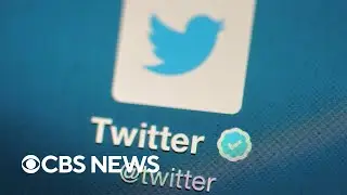 Researchers find hate speech has increased on Twitter following Elon Musk&rsquo;s takeover
