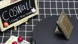 Coswall Brand Random Click Push Button Wall Light Switch With LED Indicator