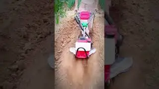 Mixing Planting Soil 🌱 | Preparing Perfect Soil for Planting 💪 #SoilPreparation #Shorts