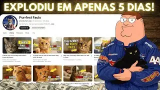 O Melhor Nicho para Iniciantes no YouTube (RPM Muito Alto o melhor + IA Gr&aacute;tis)