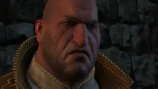 The Witcher 3 The Wild Hunt PART 21 Walkthrough Gameplay