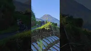 Fertile Plantations with Cloudy Mount Merapi View #shorts