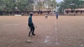 Highlights of Cricket Match || 12 Jan || Cricket Highlights