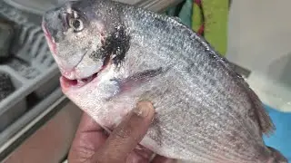 Fresh Fish, Sea & Tradition | Marsaxlokk, Malta