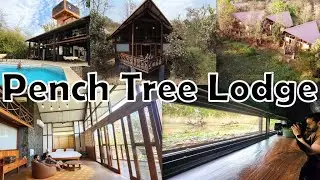 Stay at Pench Tree Lodge - Pugdundee Safaris