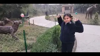 Anika's First VLOG | City Ke Beech Explore Kia Noida Jungle Trail