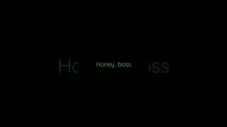 honey boss