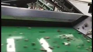 Metal Separator(Induction Sorter)