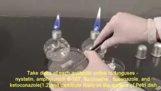 Antibiogram (2-5)