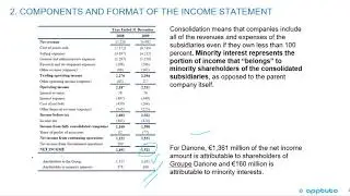 describe the components of the income statement and alternative presentation formats..